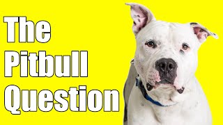 The Pitbull Question