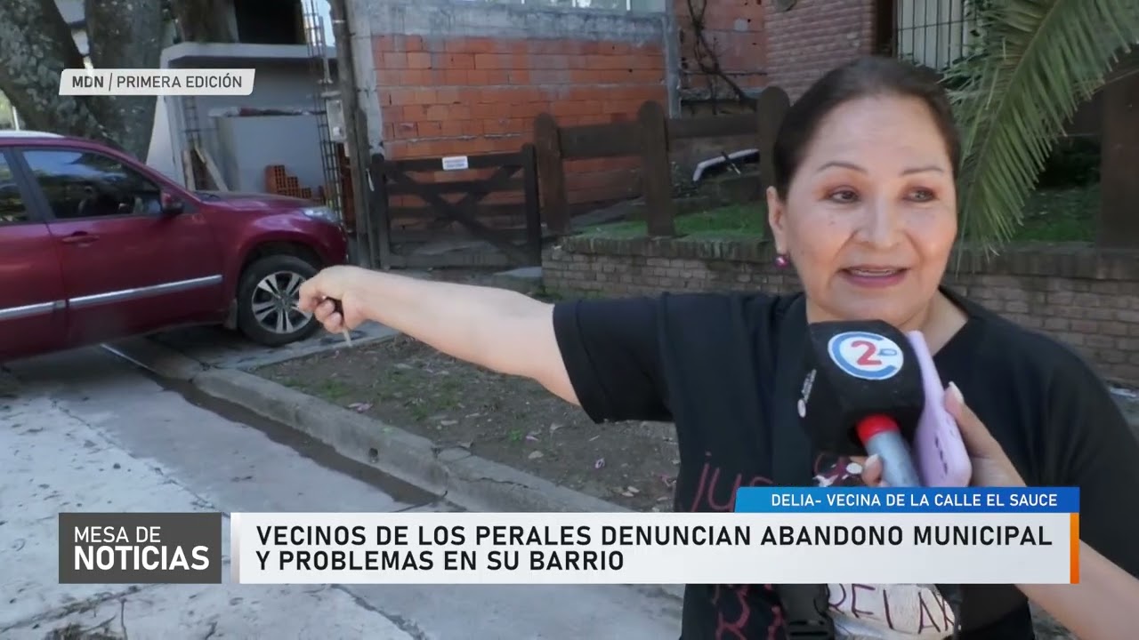 Los Perales: árboles peligrosos, obras sin consulta y desatención municipal