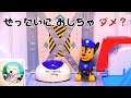 PAW Patrol パウパトロール (#530) チェイス、ぜったいに おしちゃ ダメ？Don't Push the Button!