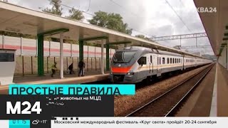 На МЦД можно будет бесплатно провозить домашних животных - Москва 24 На МЦД можно будет бесплатно провозить домашних животных - Москва 24