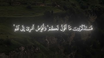 تلاوة من سورة غافر بصوت الشيخ ياسر الدوسري ❤️