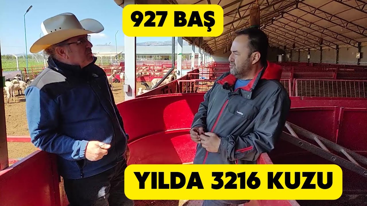 KAPALI SİSTEMDE KAZANAN VAR (İnanılmaz İkizlik Oranı Yakalamışlar)