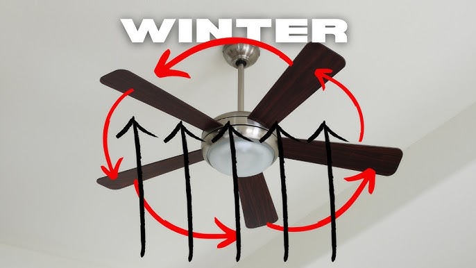 How to Change Ceiling Fan Direction in the Winter & Summer