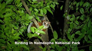 Birding in Namdapha National Park