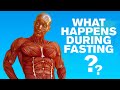 Journey Of Water Fasting: Uncover The 11 Stages Of Transformation | RayMaor.com