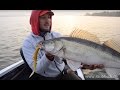 Baggersee-Zander mit Fredrik Harbort