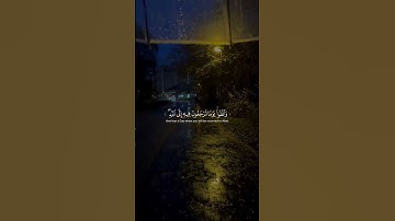 وَاتَّقُوا يَوْمًا تُرْجَعُونَ فِيهِ إِلَى اللَّهِ ۖ﴾ #قرآن #اكسبلور #راحة_نفسية#القران #سورة_البقرة