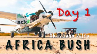 Africa Bush flying - Day 1 - Bush Pilot exploring Botswana's Okavango Delta by bush plane Day 1