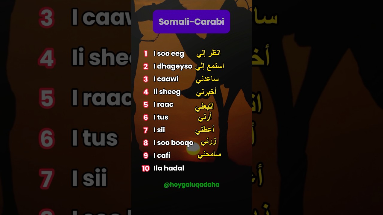 Carabi Iyo Somali 🥰