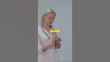 The Demographic Transition Explained! 🌍📈 2024  #environment #news