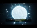 TheCredoHoldings.com Reviews. Concerns vs Structured Trading Technology