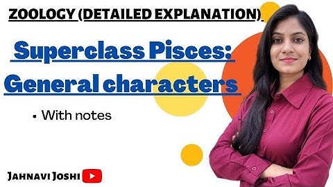 Characteristics of Superclass Pisces (Notes) Bsc 2nd year Zoology