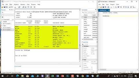 Stata-15- Describe and Summarize