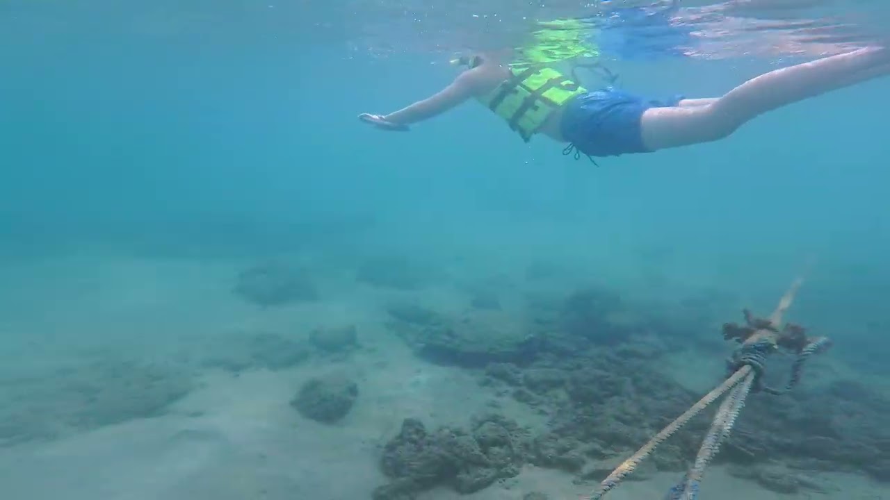 Snorkeling-3, 🤿 Camayan beach resort🏖️,  subic bay,Philippines,11-2025