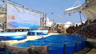 AquaDream Show, The Land of Legends theme park
