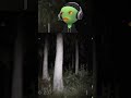 chills down my spine #pcgaming #livegaming #dontscream #jumpscareshorts #goosebumps