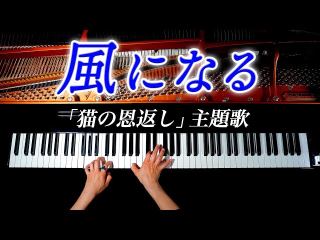 風になるつじあやの