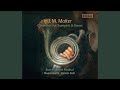 Sonata grossa in d major mwv 45 ii allegro