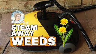 How to Remove Weeds with a Steam Cleaner by Melissa - Empress of Dirt 49,876 views 5 years ago 3 minutes, 24 seconds