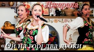 Video thumbnail of "«Ой на горі два дубки»: українська народна пісня"