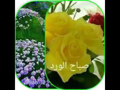 صباح الخير  معى قرآن