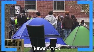Protesters set up camp at Brown University, school remains open | NewsNation Now
