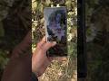 Motorola G96 5G⚡Smartphone📱#trendingshorts #viralshort #reels #zoomtest #shortvideo #motog14 😎💕📱
