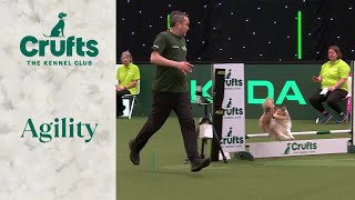 Agility  Crufts Novice Cup Final (Jumping) Part 3