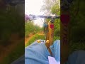 Mtb