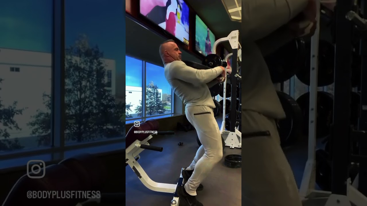Sissy squats are one the only ways to isolate you two middle quadriceps muscles