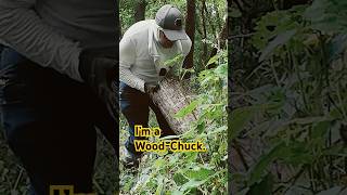 Trail Cleaning Madness! -- #findmyway  #trailcleanup