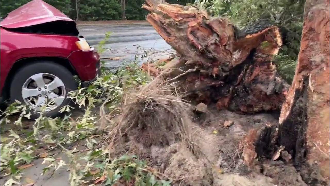 Hurricane Helene storm damage Aiken, South Carolina more YouTube