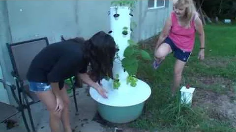 Documenting Jill's Tower Garden 5