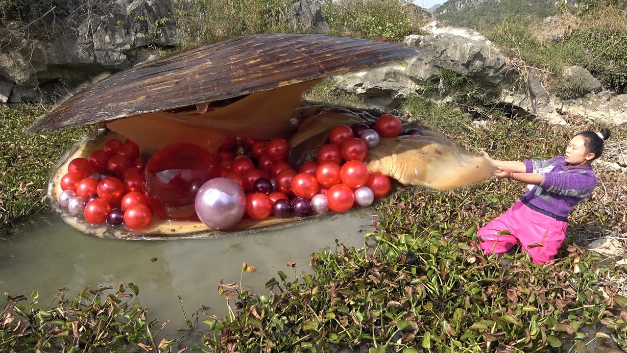 🎁🎁Pull out the giant clam hidden in the water plant, each pearl inside is so precious and charming