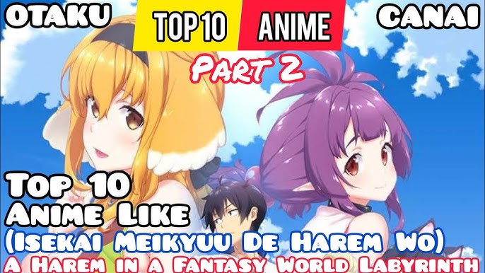 Top 10 Anime Like Isekai Meikyuu de Harem Wo 