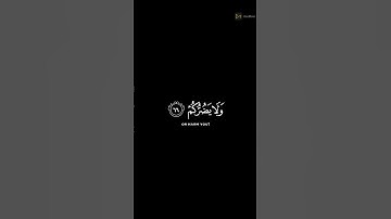 أف لكم ولما تعبدون من دون الله   القارئ إسلام صبحي