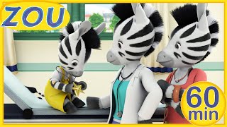 Zou En Español Zou Visita La Doctora 60 Min Recopilación Dibujos Animados
