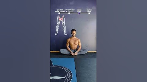 🪱Hip Mobility Flow!