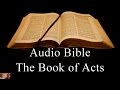 The Book of Acts - NIV Audio Holy Bible - High Quality and Best Speed - Book 44