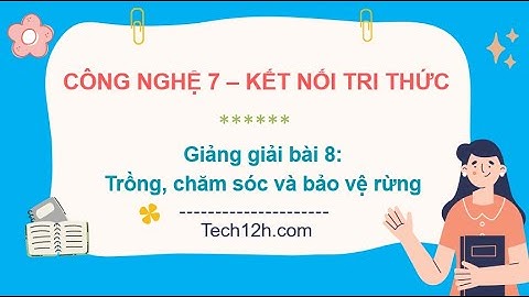 Giảng bài 8: Trồng, chăm sóc và bảo vệ rừng | Bài giảng công nghệ 7 kết nối tri thức