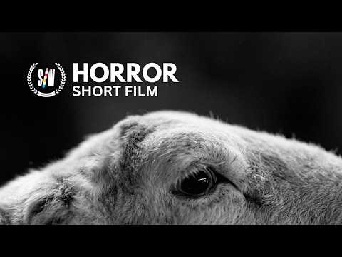 Flock | Horror Short Film set in the Welsh farming Community