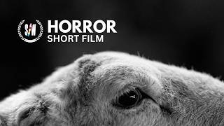 Flock | Welsh Horror Short Film