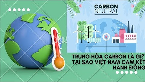 Trung hòa carbon là gì? Tại sao Việt Nam phải hành động tiến tới trung hòa carbon vào năm 2050?