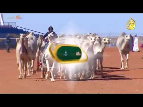 استعراض منقية محمد نايف ابن شويه فئة ال 30 الشقح