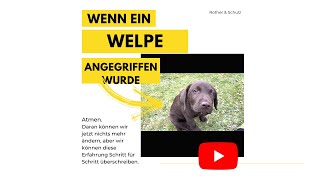 ° Wenn Welpen angegriffen worden sind