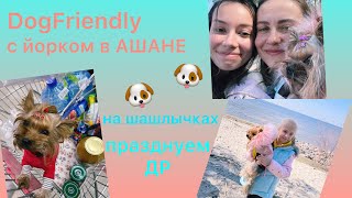 DogVlog: DogFriendly с собакой в Ашане| ПРАЗДНУЕМ МОЙ ДР| КУПИЛИ ОДЕЖДУ ОТ FOR MY DOGS by Tiffany York 9,798 views 3 years ago 14 minutes, 33 seconds