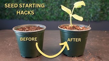 Seed Starting | How to, Tips, Tricks, and Hacks