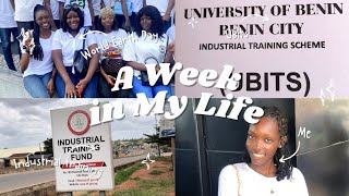 Last Days of Industrial Training | Final Year