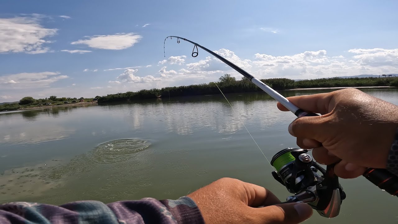 Pescuit la Stiuca pe rau salbatic#Pike fishing river