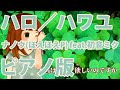 【ニコカラ】ハロ／ハワユ -Piano Ver.-（Off Vocal）【ナノウ(ほえほえP) feat.初音ミク】